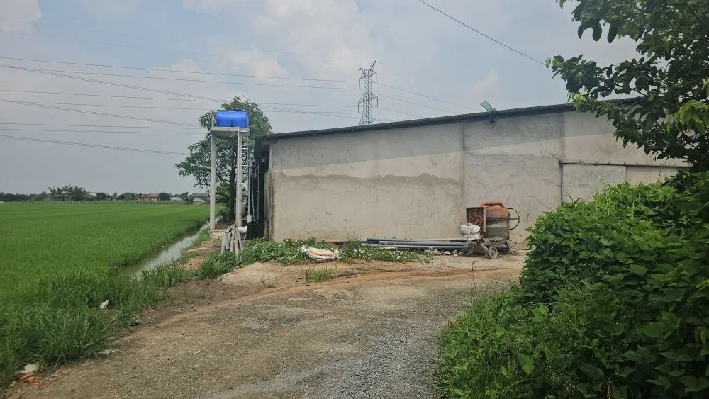 trang trại nuôi vịt 3 (3).jpg