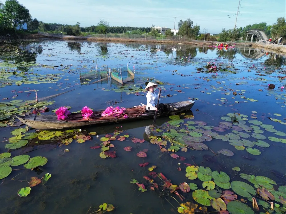 Tuần Văn hóa.jpg