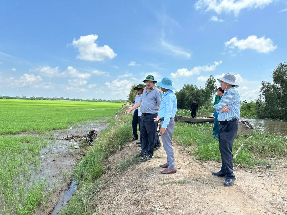 Đoàn công tác khảo sát tình hình lũ gây ảnh hưởng sản xuất tại huyện Tân Thạnh. Ảnh: TH bị ngập úng 2.jpg