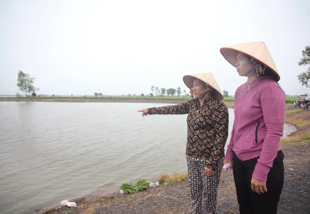 Nhiều ha lúa của người dân xã Thạnh Trị chìm trong biển nước. Ảnh: HD bị ngập úng 5.JPG