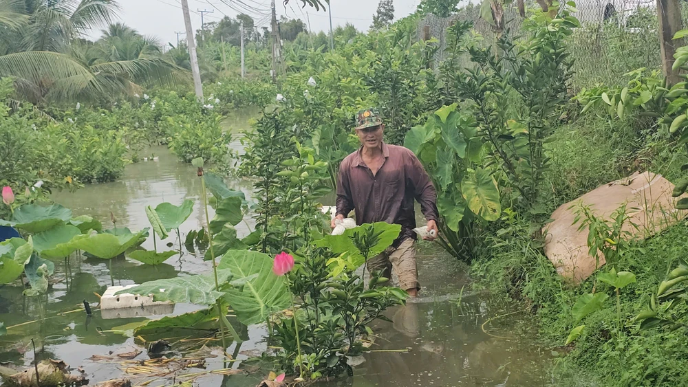 cảnh trắng tay (3).jpg