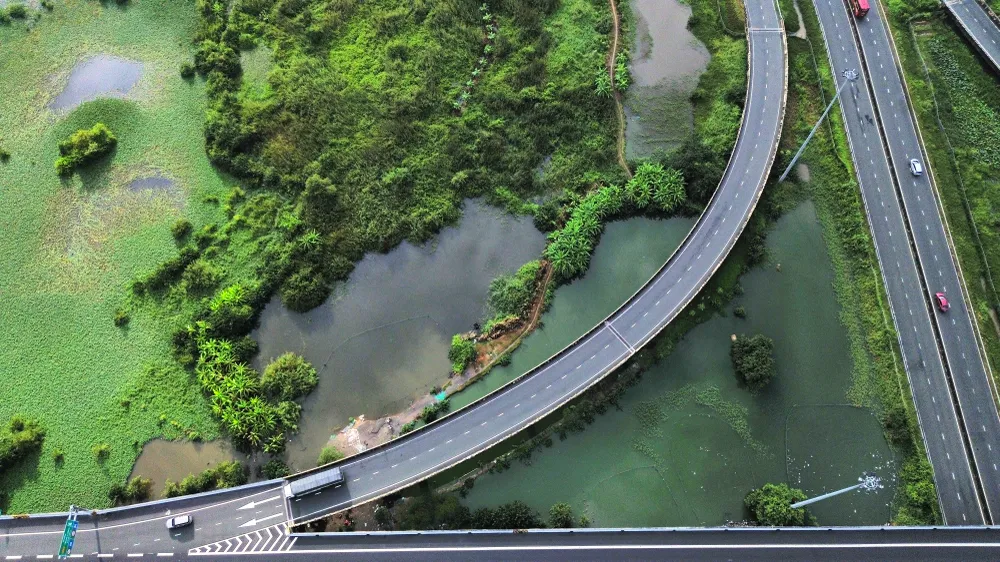 Nhếch nhác khu vực dưới nút giao Quốc lộ 62 lên cao tốc TP.HCM - Trung Lương