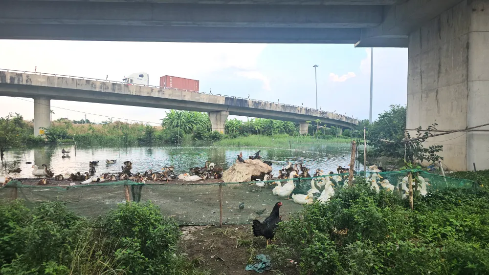 Nhếch nhác khu vực dưới nút giao Quốc lộ 62 lên cao tốc TP.HCM - Trung Lương