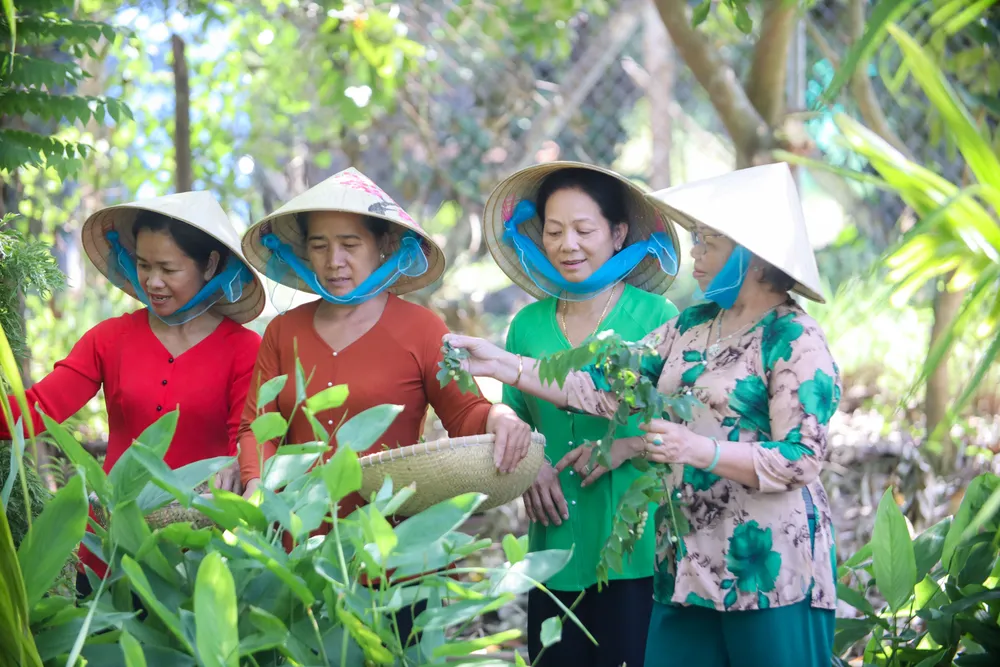 Nón lá ở xã An Ninh Tây được ưa chuộng bởi độ bền, đẹp. Ảnh: HD IMG_9535.jpg