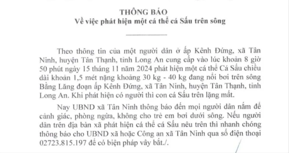 cá sấu nổi trên sông.jpg