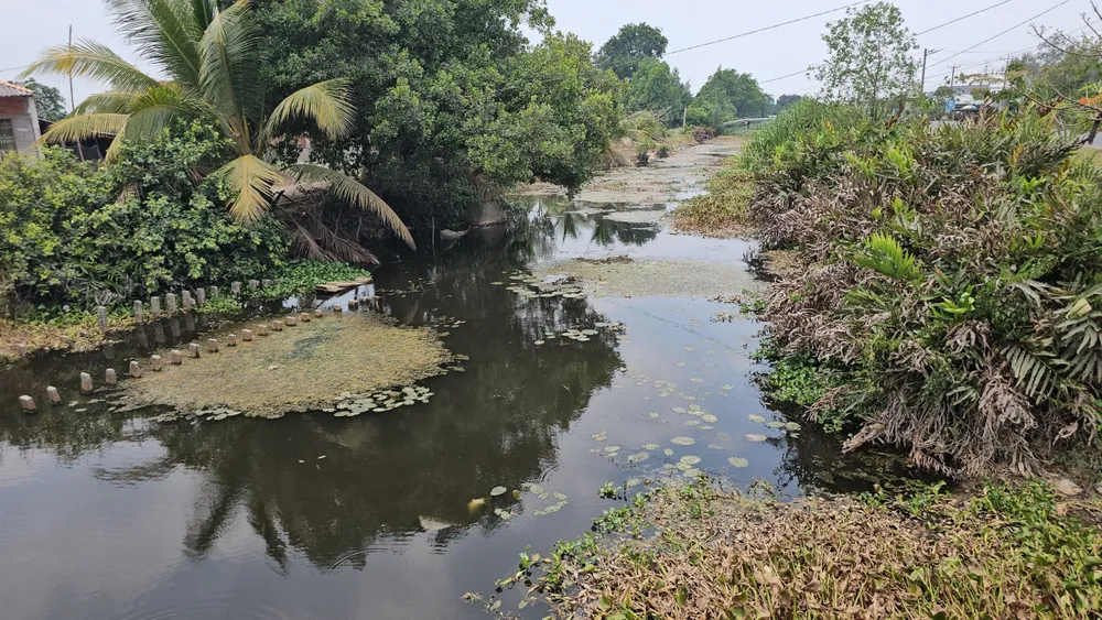 ô nhiễm môi trường.jpg