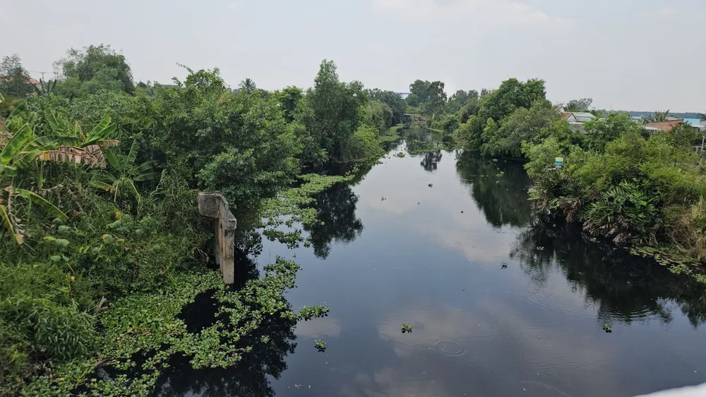 ô nhiễm môi trường.jpg