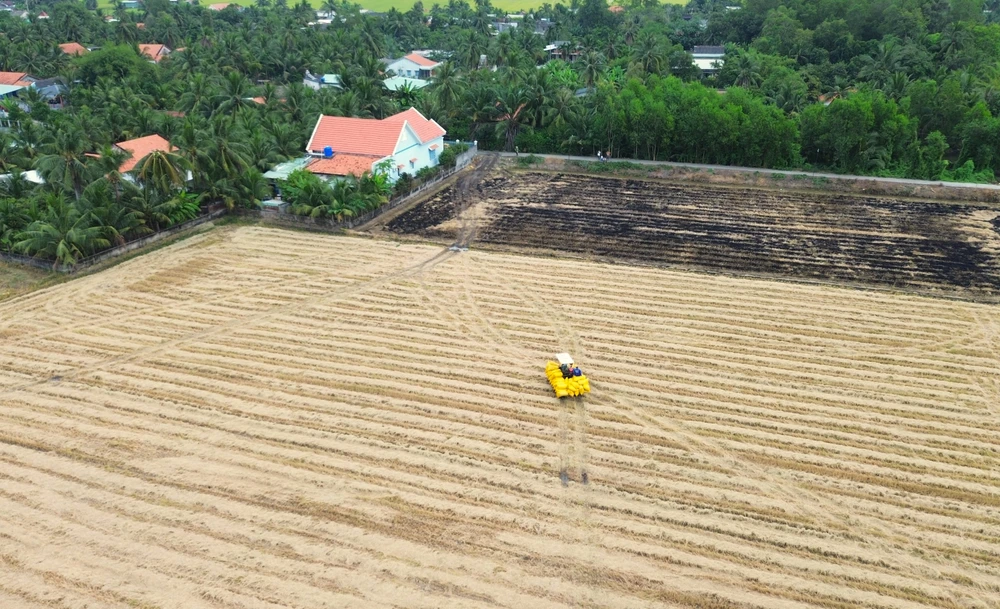 Ngoài máy gặt đập liên hợp, thời gian qua việc vận chuyển lúa của người dân cũng được vận chuyển bằng xe chở lúa chuyên dụng. Người nông dân chỉ đứng trên bờ chờ lúa vận chuyển về nhà. cánh đồng lúa 15.JPG