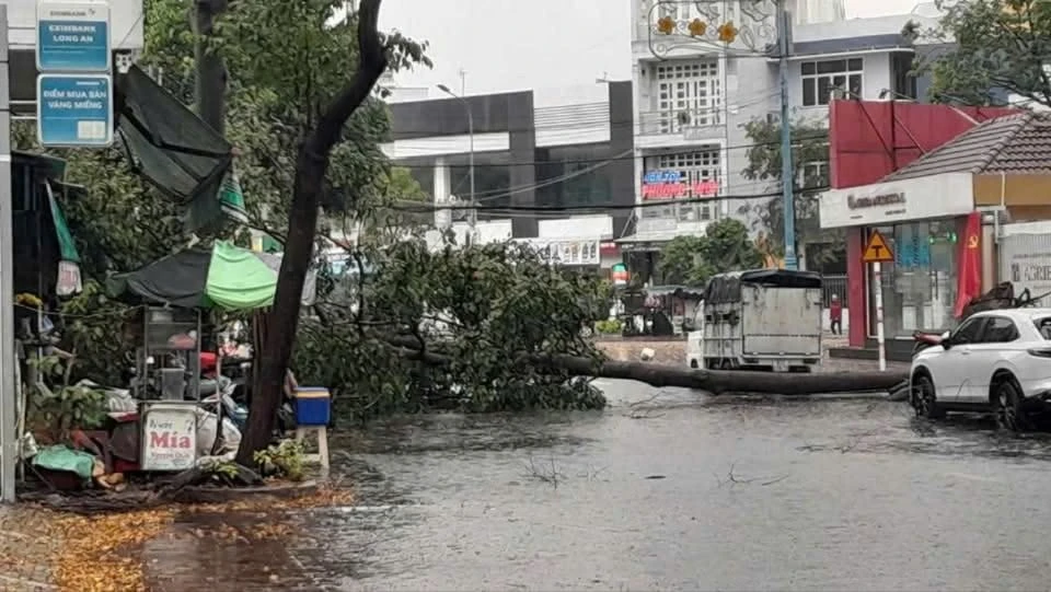 Mưa lớn ở Long An.jpg