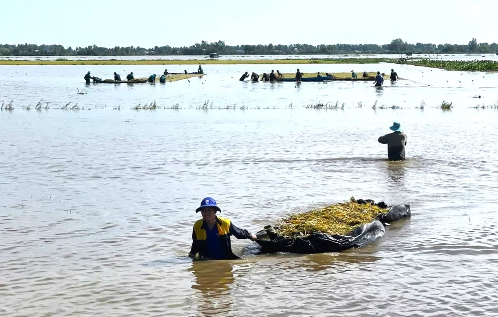 Ngập sâu ở Tây Ninh