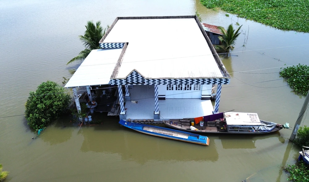 Đồng Tháp Mười 14.JPG