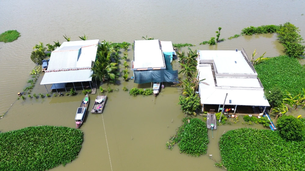 Đồng Tháp Mười 15.JPG