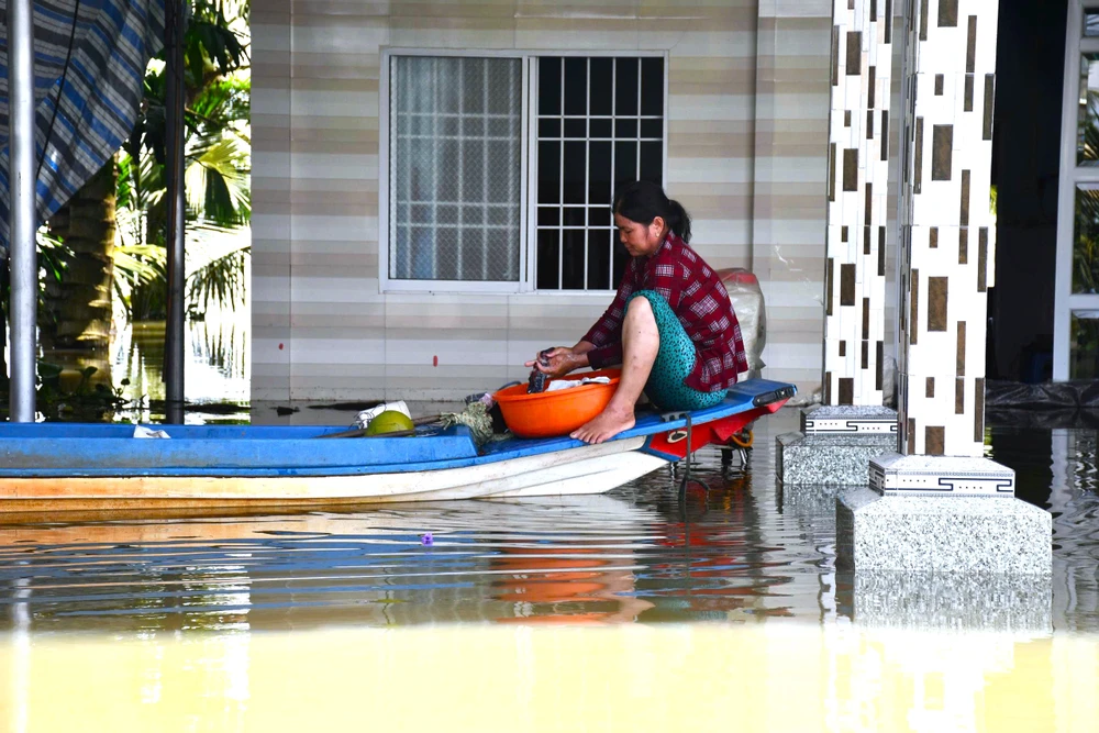 Đồng Tháp Mười 5.jpg