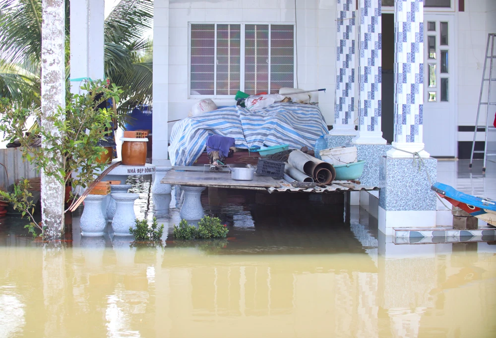 Đồng Tháp Mười 6.JPG