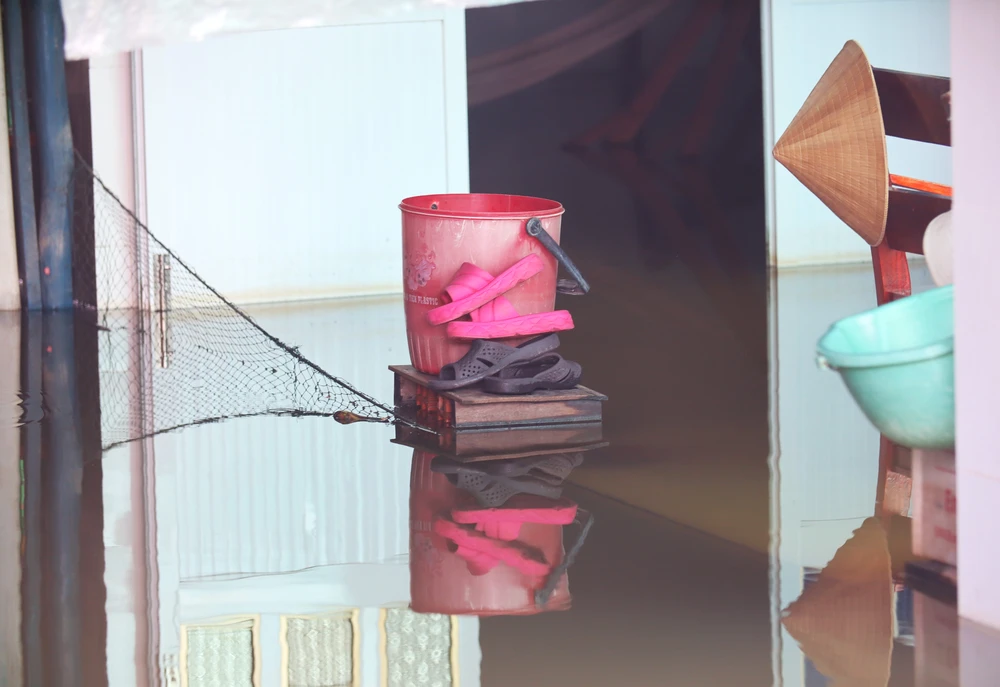 Đồng Tháp Mười 8.JPG