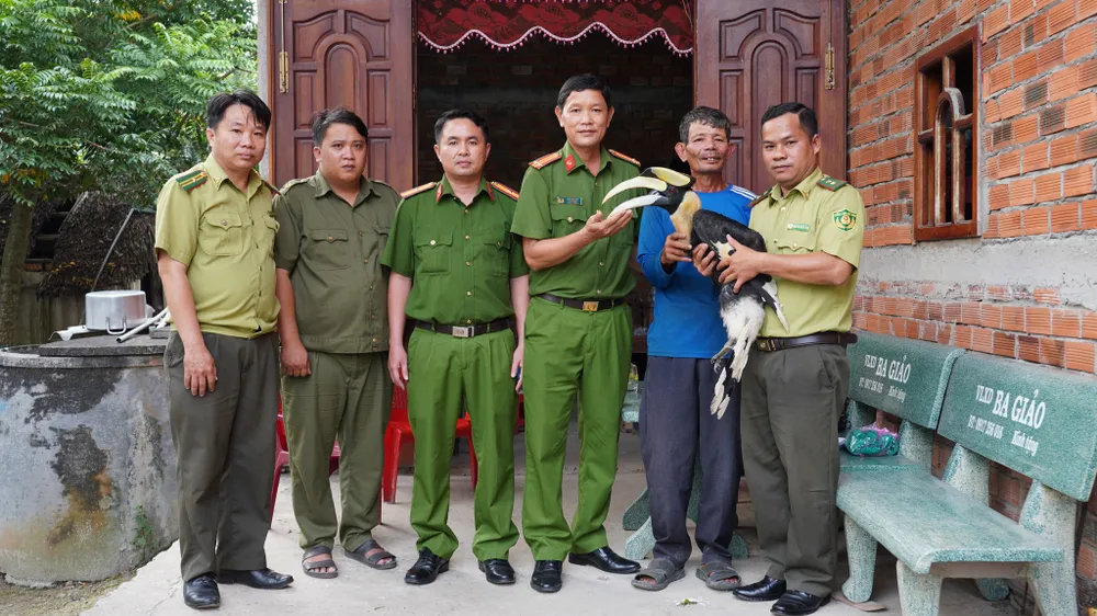 chim Hồng hoàng (2).jpg