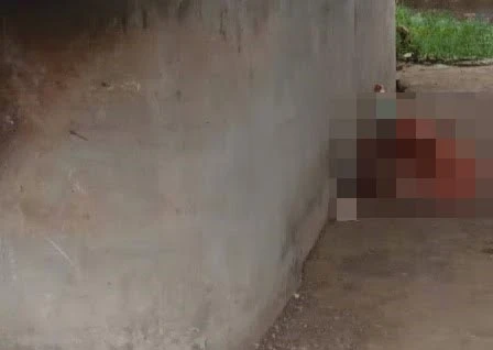 cầu Bến Lức.jpg