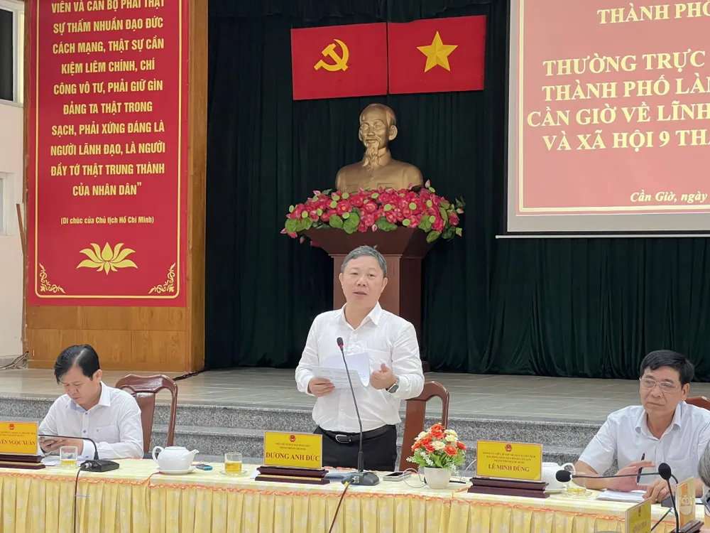 Ông Dương Anh Đức, Phó Chủ tịch UBND TP.HCM, phát biểu tại buổi làm việc. t6.jpg