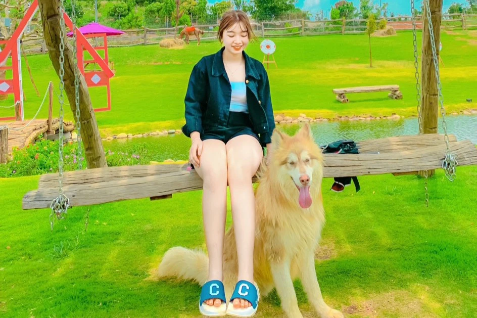 Những bãi cỏ xanh mướt ẢNH : HOÀNG HIẾU