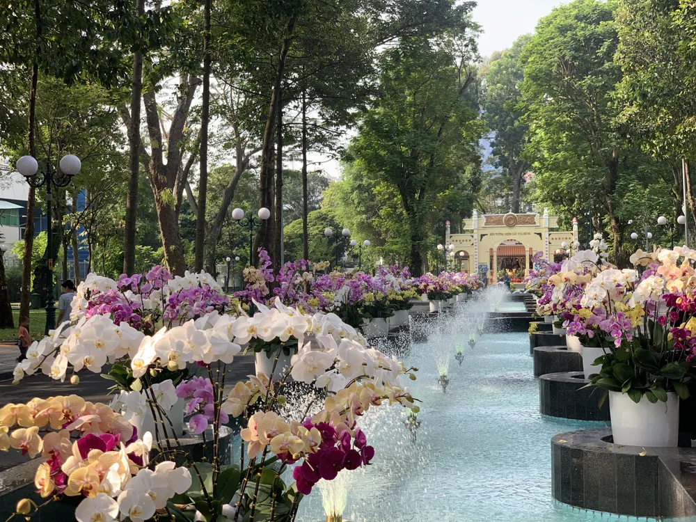 Trang trí hoa lan tại công viên Tao Đàn. Ảnh: HOÀNG HIẾU.