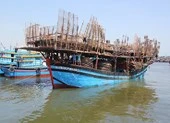 Tàu cá bị sóng lớn đánh đứt dây neo trên biển Đà Nẵng ảnh 3 Cứu 49 người gặp nạn trên vùng biển Hoàng Sa