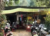 Đà Nẵng: Tử vong vì ong chích ảnh 2 Một người ở Quảng Nam bị ong chích tử vong