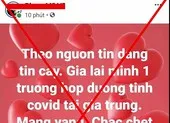 Đăng tin sai sự thật về COVID-19, 1 người ở Gia Lai bị phạt