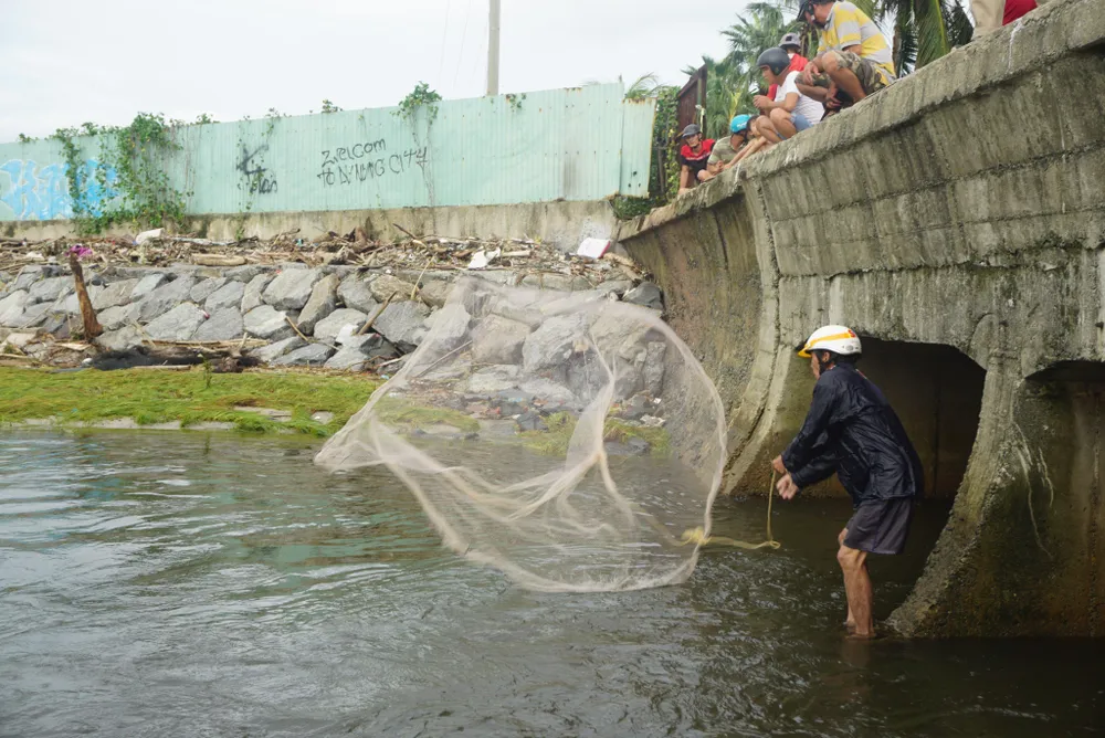 Người đàn ông quăng chài để bắt cá ngay nơi cống nước đổ ra biển. Ảnh: HẢI HIẾU