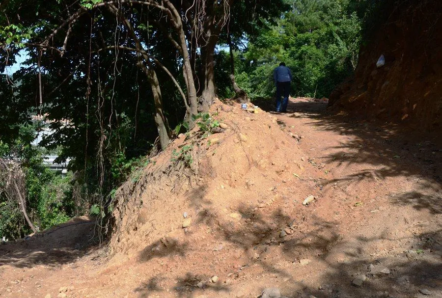 Khu vực đất rừng bị ủi mở đường trái phép. Ảnh: H.H