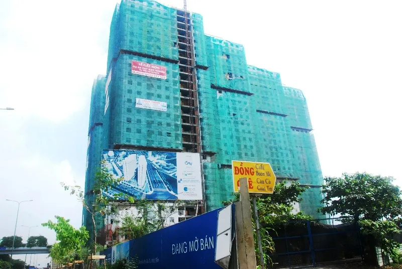 Tăng tốc thi công để giao nhà dịp tết ảnh 13