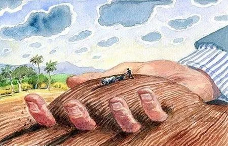 Chuyển đổi mục đích sử dụng đất cần làm những thủ tục gì? ảnh 1