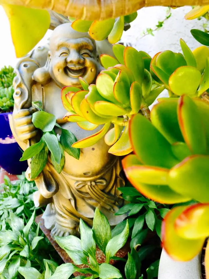 Nhà của danh hài Thúy Nga: Nhìn mà... thèm! ảnh 12