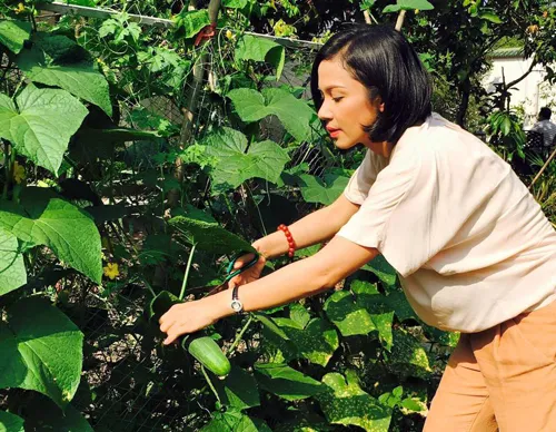 Biệt thự nhà vườn ngập hoa quả của diễn viên Việt Trinh ảnh 3