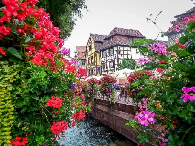 Ngất ngây với những ngôi nhà phủ hoa đầy lối đi ảnh 8 Ngất ngây với những ngôi nhà phủ hoa đầy lối đi ảnh 8