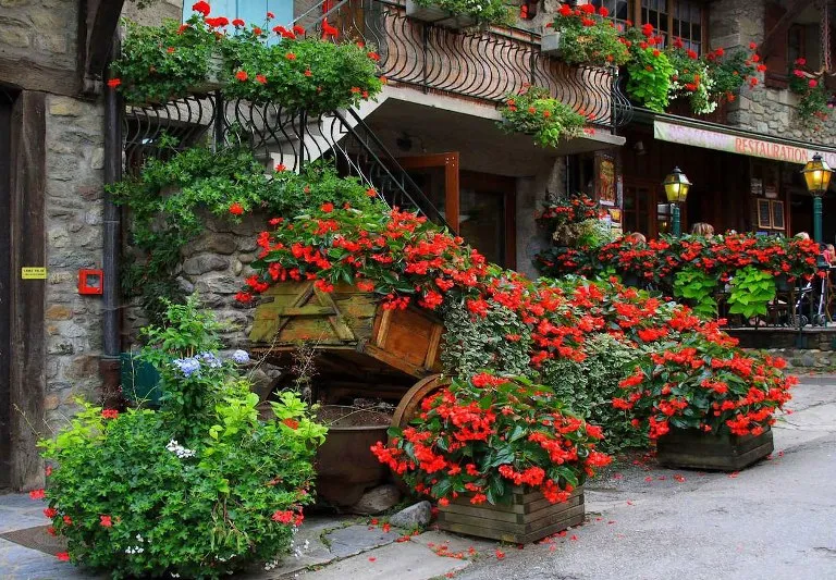 Ngất ngây với những ngôi nhà phủ hoa đầy lối đi ảnh 12 Ngất ngây với những ngôi nhà phủ hoa đầy lối đi ảnh 12