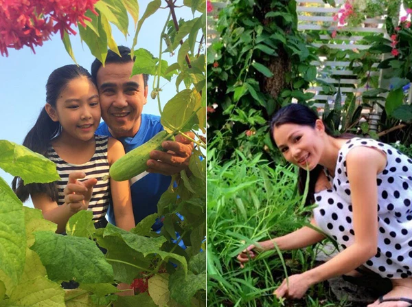 Vườn rau sạch trong ngôi nhà triệu đô của sao Việt ảnh 20