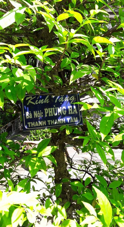 Đông đảo giới nghệ sĩ quy tụ về lễ tưởng niệm NSND Phùng Há