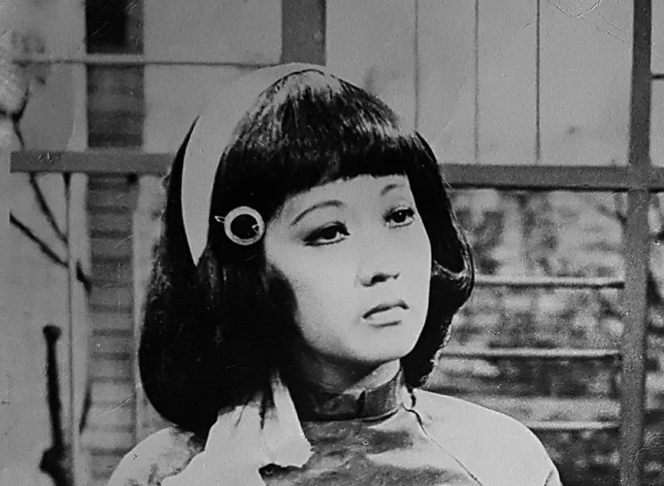 Fan tung ảnh hiếm mừng sinh nhật huyền thoại Thanh Nga ảnh 33