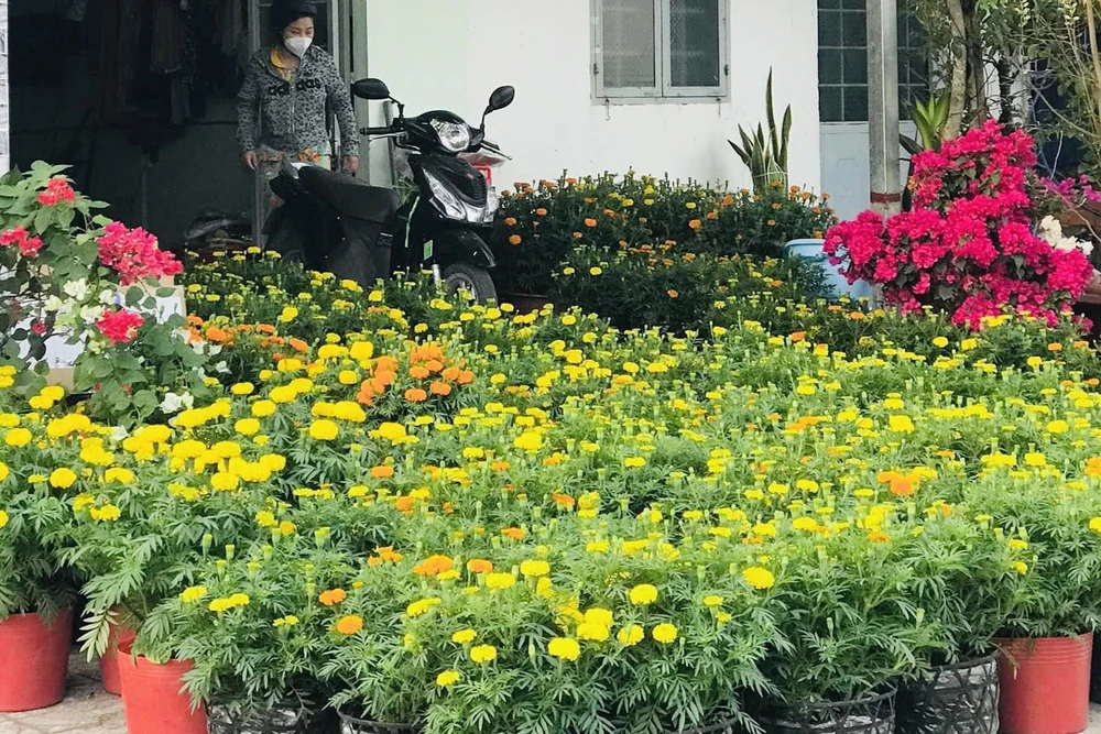Chị Vi nhập về bán đa số là loại hoa phổ biến trong ngày Tết như vạn thọ, cúc, hoa giấy,...
