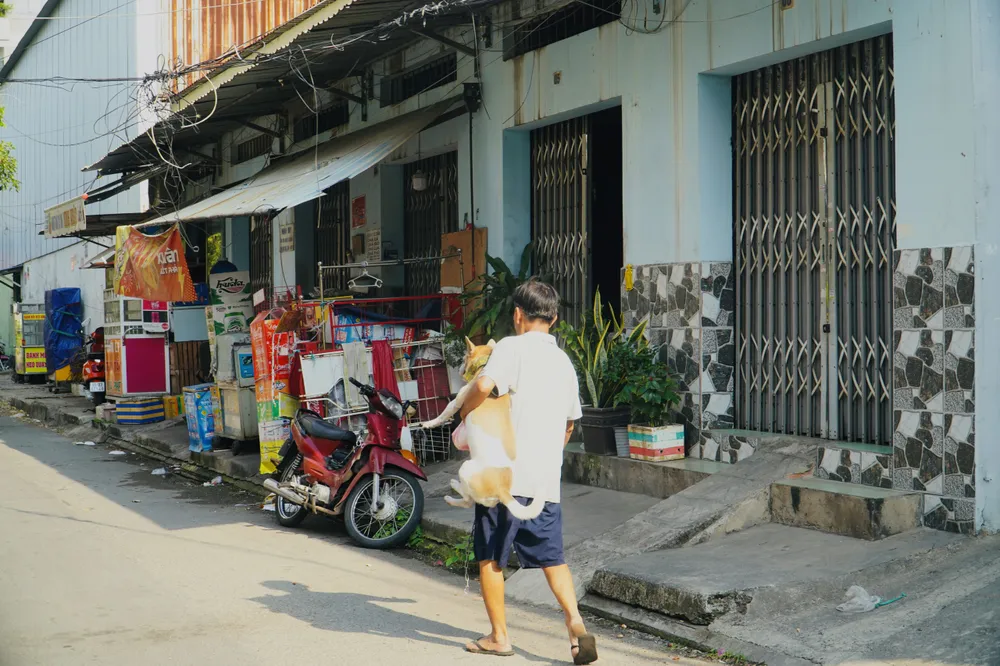 Một người đàn ông để chó không rọ mõm chạy ra đường, khi thấy đội bắt chó đang tiến đến mới nhanh chóng bế con chó của mình đi vào nhà. Ảnh: HUỲNH THƠ