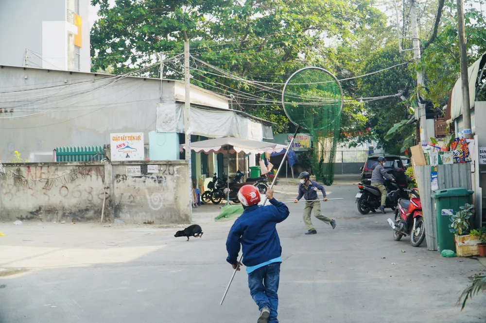 Đa số người dân đều ủng hộ và mong muốn phường duy trì công tác này, vì như vậy sẽ hạn chế việc chó thả rông cắn người, phóng uế bừa bãi,... Ảnh: HUỲNH THƠ