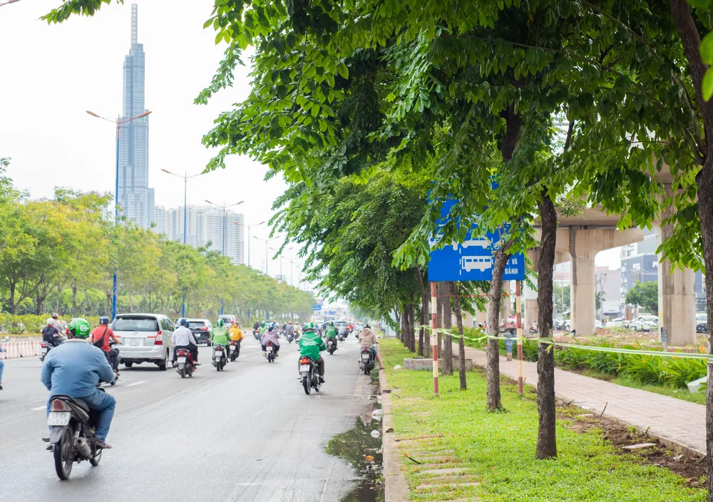 Biển báo bị cây che khuất ở TP.HCM. Ảnh: HƯỚNG HỒNG Biển báo giao thông.png