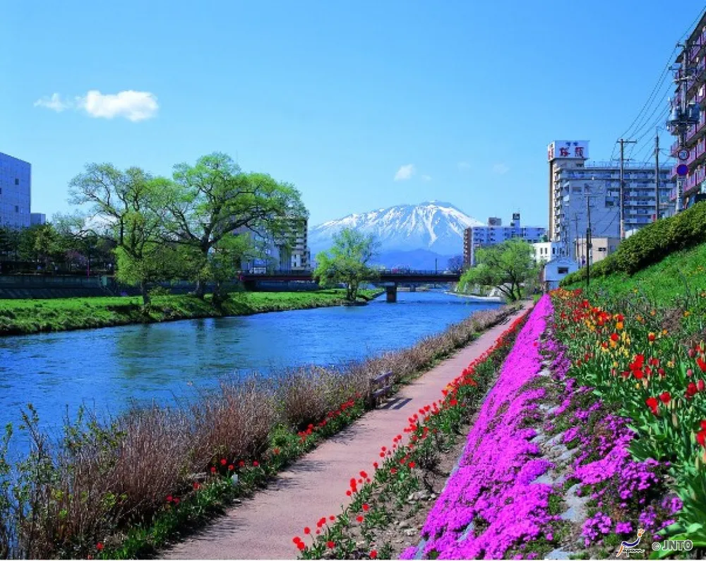 Điều gì cản chân du khách? ảnh 7