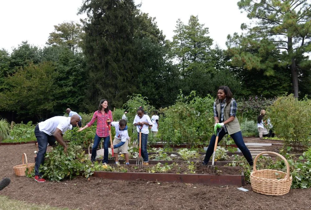 Cầu thủ bóng rổ giải nghệ Alonzo Mourning (trái) dùng tay nhổ khoai tây trong khi Đệ nhất phu nhân Michelle Obama phải dùng chĩa để đào đất.