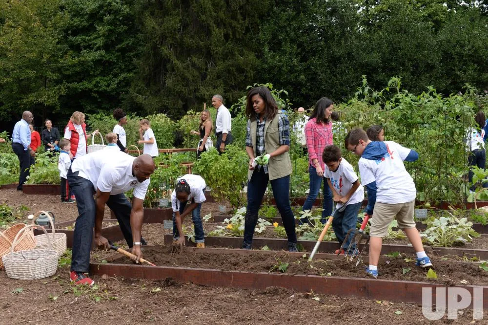 Tổng thống Obama đi thăm hỏi những người tham gia thu hoạch.