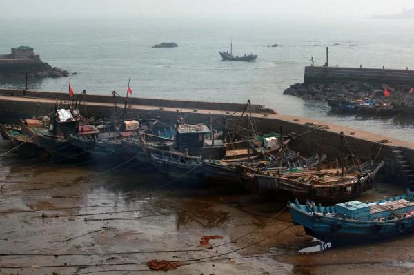 Tàu cá Trung Quốc ở TP biển Thanh Đảo (Trung Quốc). 