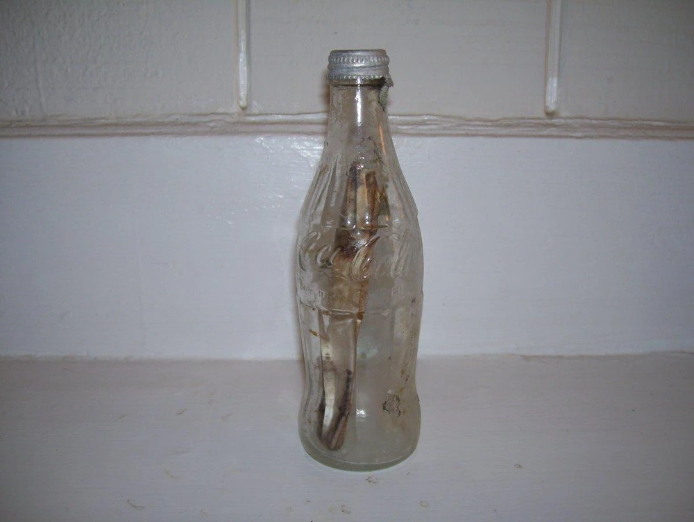 Cái chai chứa thông điệp đã lênh đênh hàng ngàn km biển trong 57 năm.