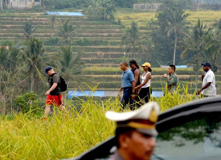Gia đình Obama đi dạo trong khu ruộng bậc thang ở Bali ngày 25-6. Ảnh: GETTY IMAGES