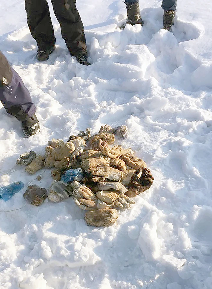 Các bàn tay được tìm thấy bên dòng sông đóng băng ở tỉnh Amur, gần vùng Khabarovsh (Nga). Ảnh: SIBERIA TIMES