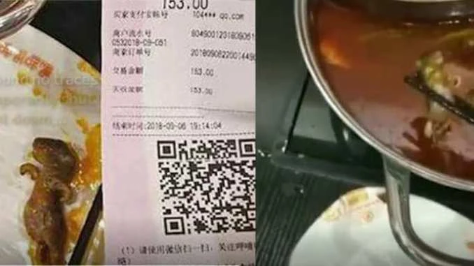 Ăn nửa nồi lẩu mới phát hiện có xác chuột dưới nồi. Ảnh: SCMP